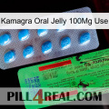 Kamagra Oral Jelly 100Mg Use new03